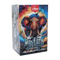 2024 Wild Card Lamine Yamal Painted Mammoth 4 Box Case