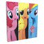 EnterPlay My Little Pony 2014 Magic Collector Binder