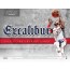 2016/17 Panini Excalibur Basketball Hobby Box