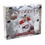 2024/25 Upper Deck Artifacts Hockey Hobby Box