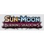 Pokemon Sun & Moon Burning Shadows Theme Deck 6 Box Case