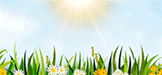 Spring Sale