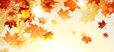 fall-sale