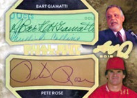 2015-leaf-Q-rose-giamatti