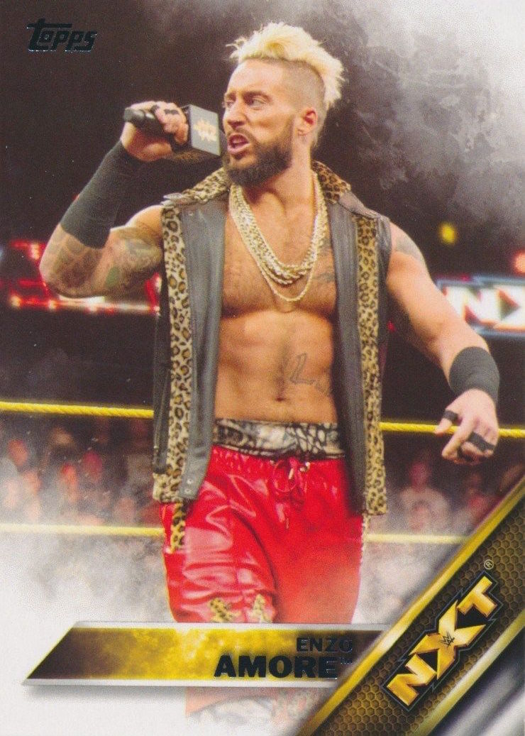 2016-topps-WWE-NXT-3.jpg