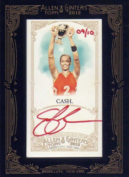 Swin-Cash-Allen-Ginter-auto