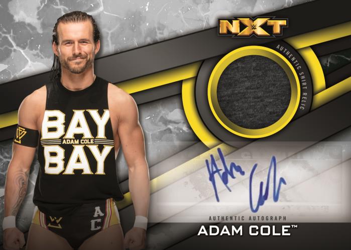 First Buzz: 2019 Topps WWE NXT wrestling cards / Blowout Buzz