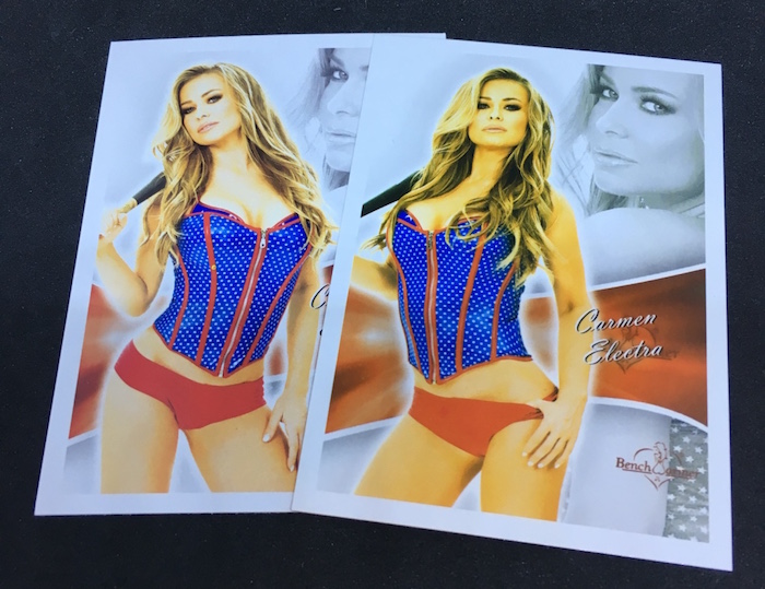 BENCHWARMER  2015 LISA LAKATOS BOOT CAMP CARD 