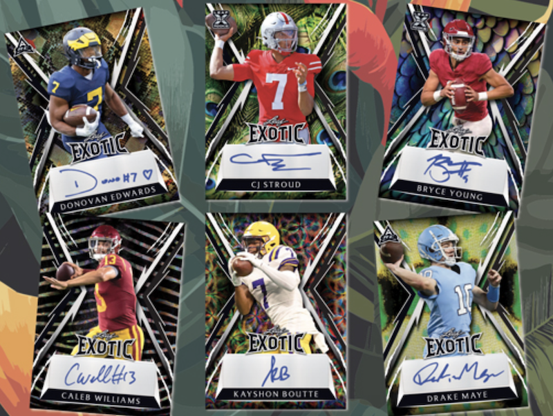 First Buzz 2023 Leaf Exotic Football cards / Blowout Buzz